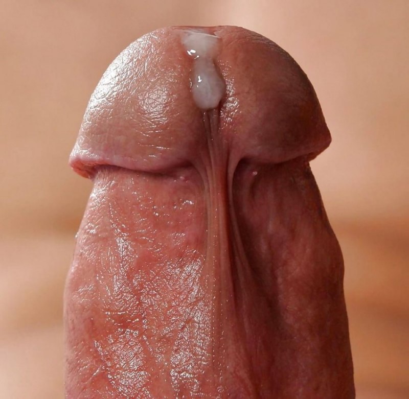 Головка члена крупным планом