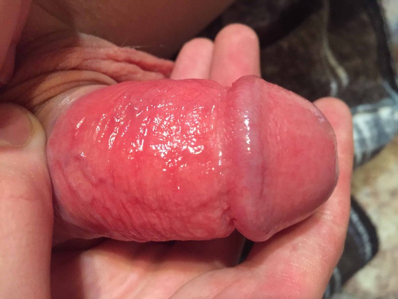 Девушка ласкает головку члена