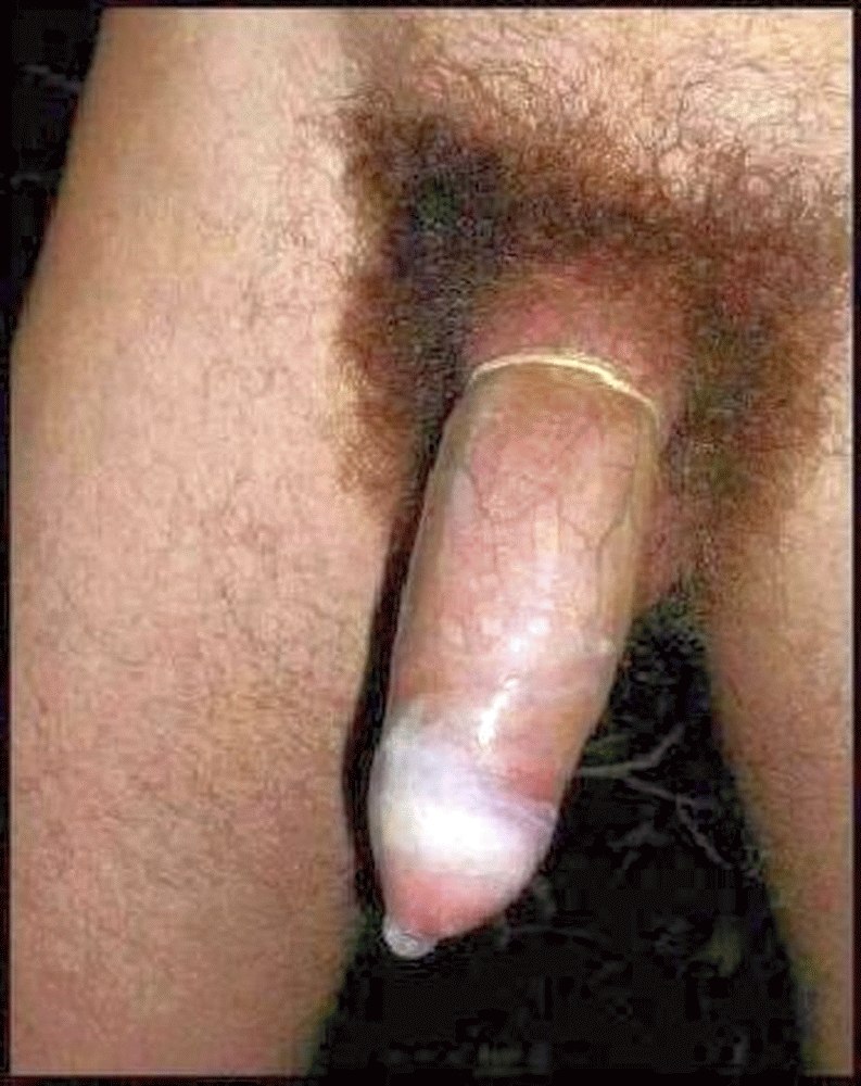 Огромный волосатый черный член