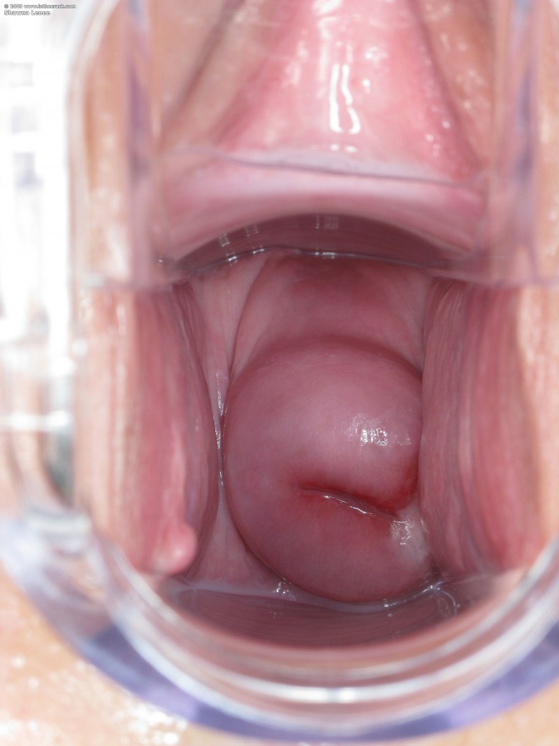 Член и вагина крупным планом