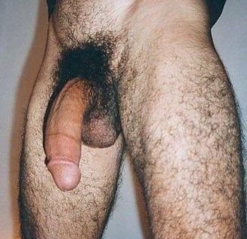 Очень волосатые мужские члены