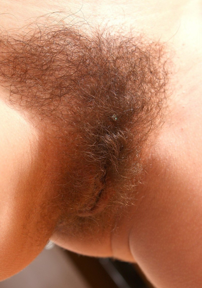 Красивые писечки с волосиками