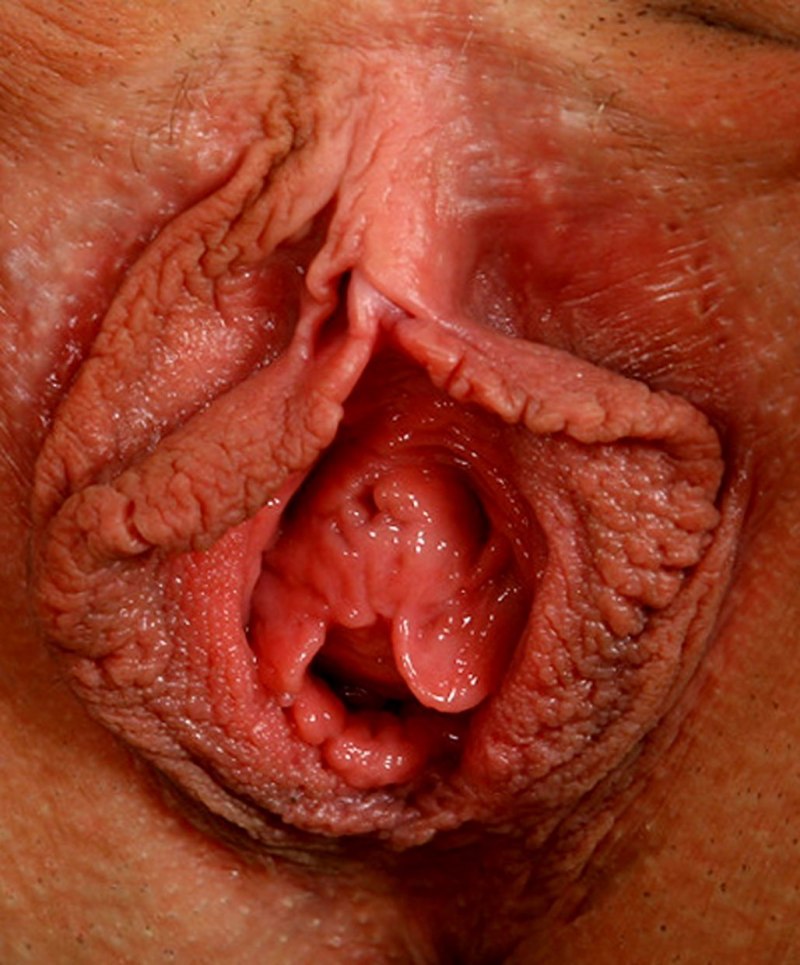 Женские вагины изнутри