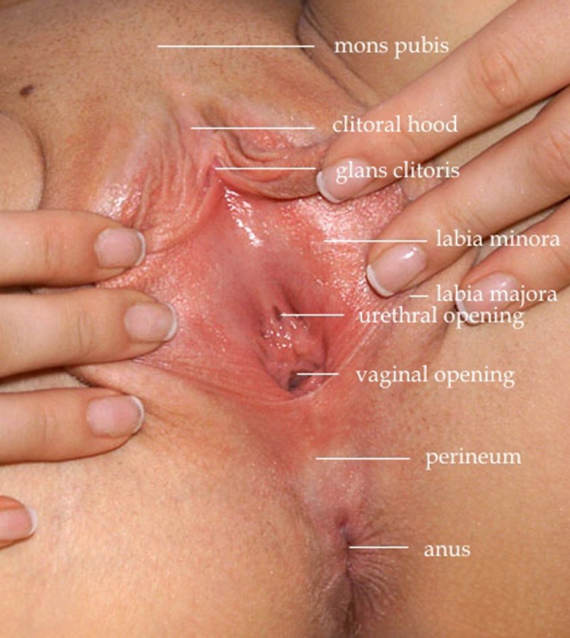 Раскрывают пальцами влагалище