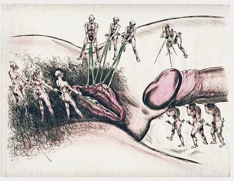 Рисование половых органов