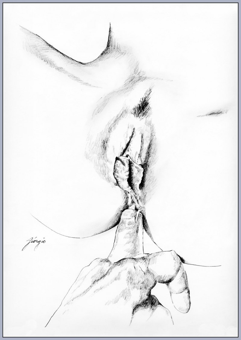 Рисунок женской вагины