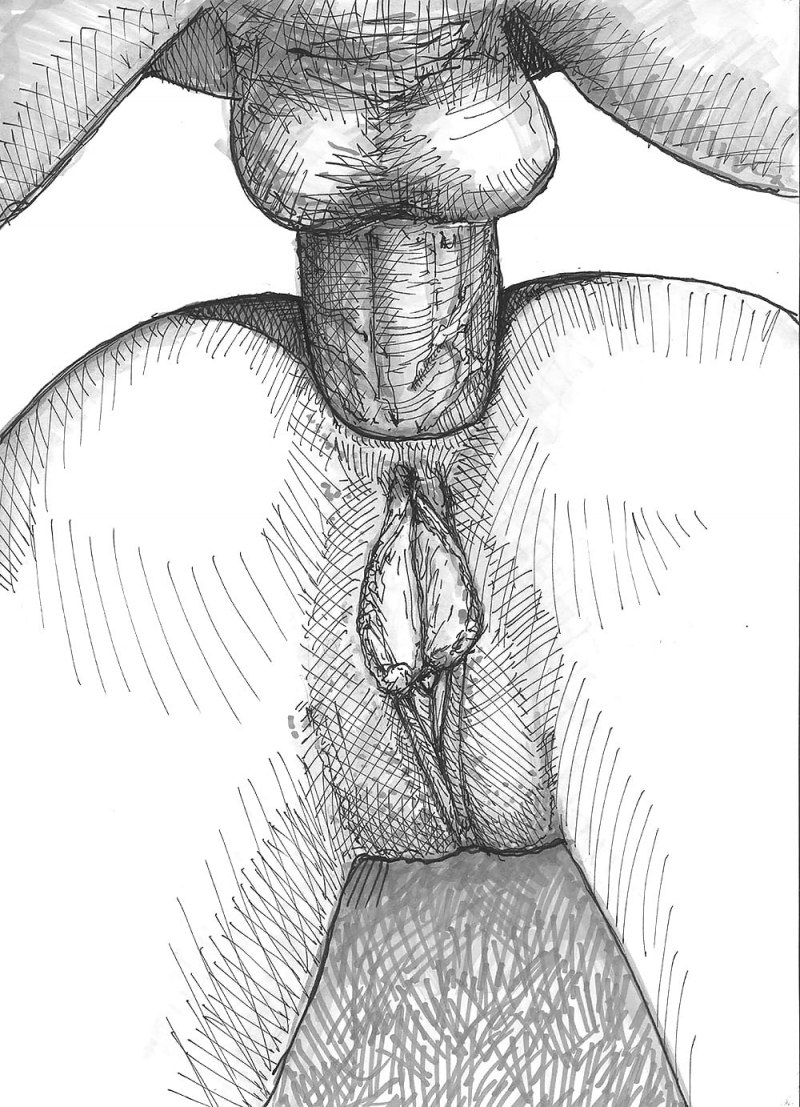 Закрытая вагина рисунок чб