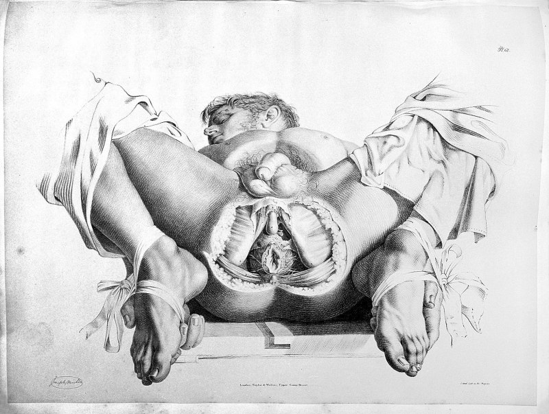 Изображение полового акта