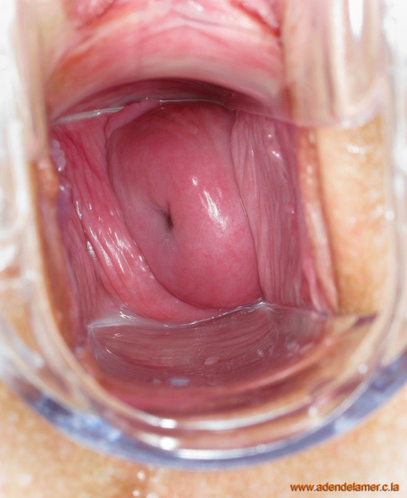 Голые киски внутри баб