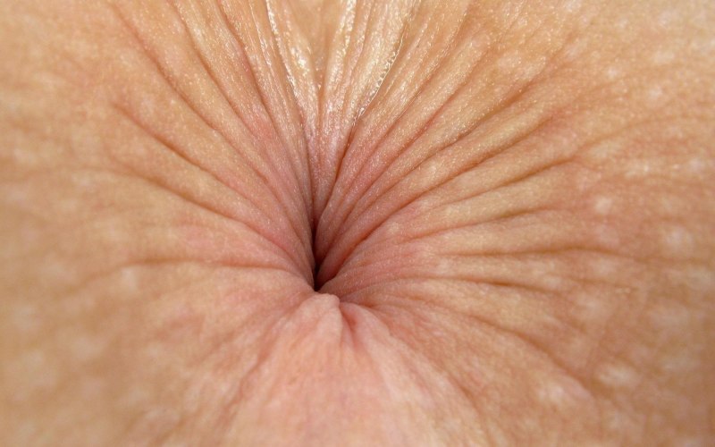 Лижет анус крупным планом