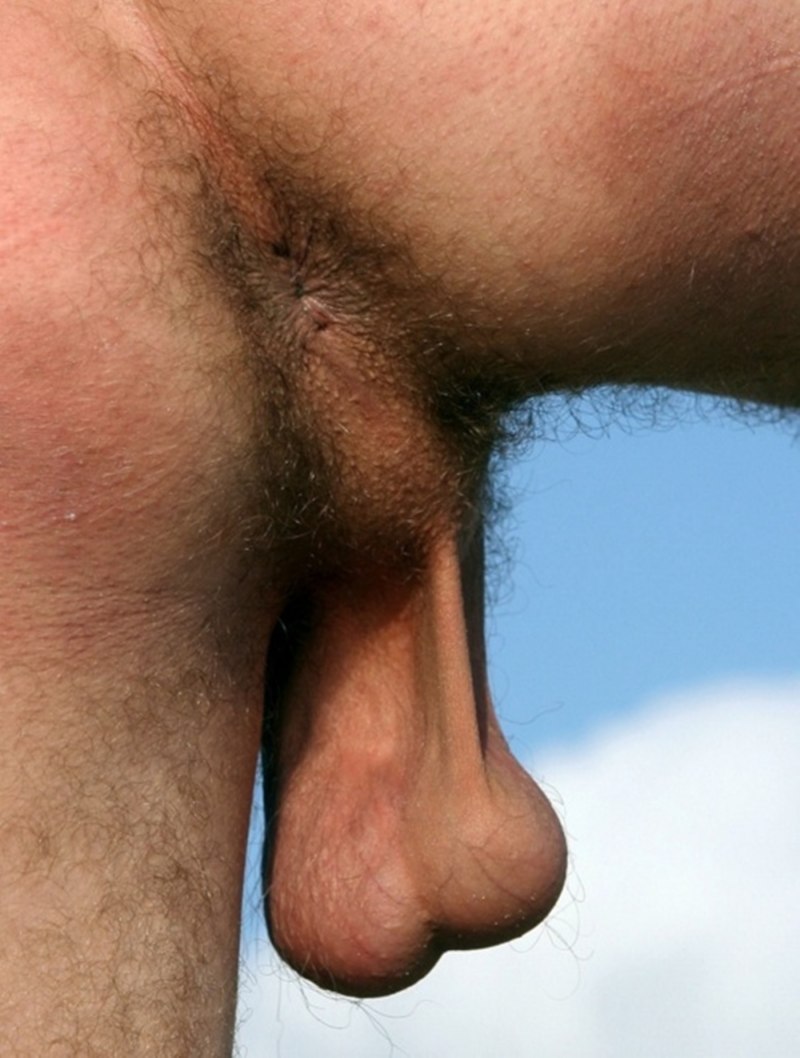 Огромные волосатые яйца