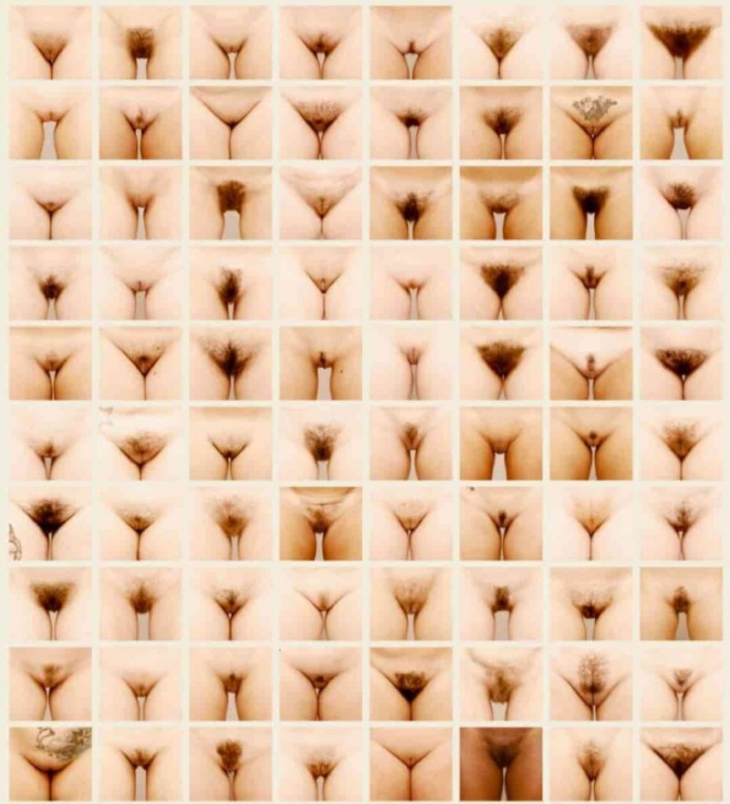 Разновидности пёзд персик