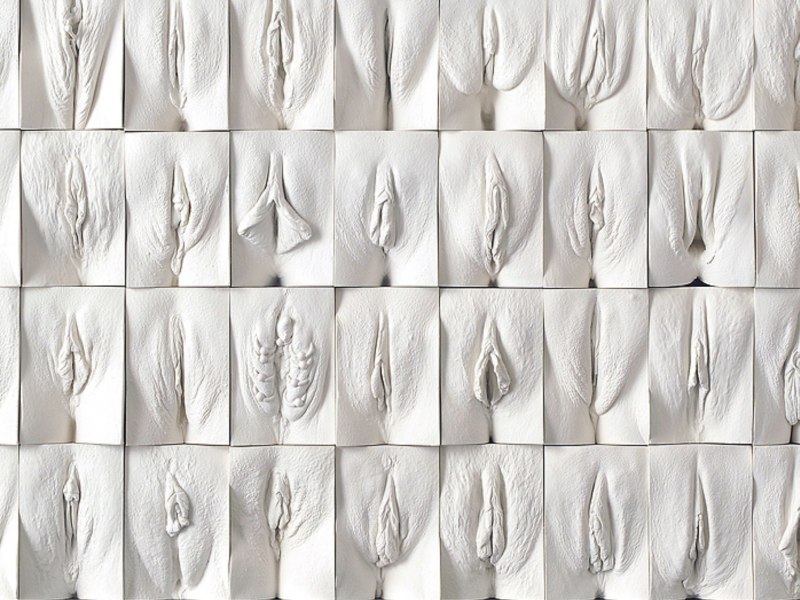 Разновидности женских влагалищ