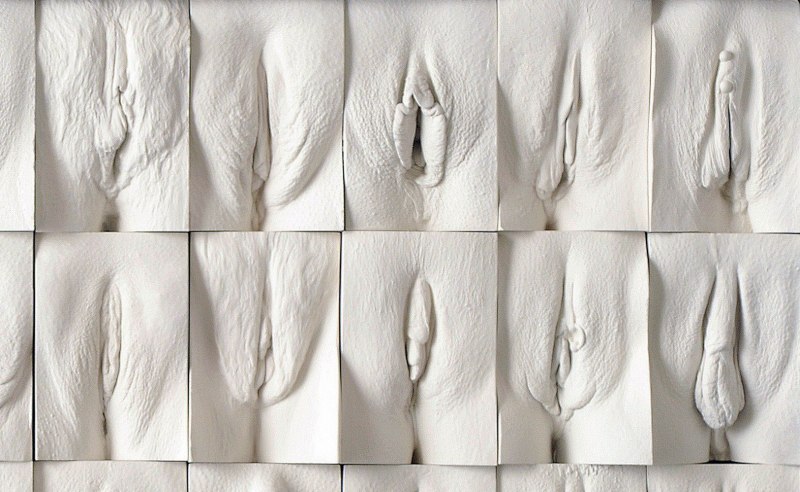 Слепки вагин Джейми Маккартни