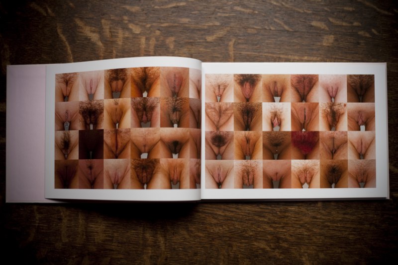 Аккуратные половые губы