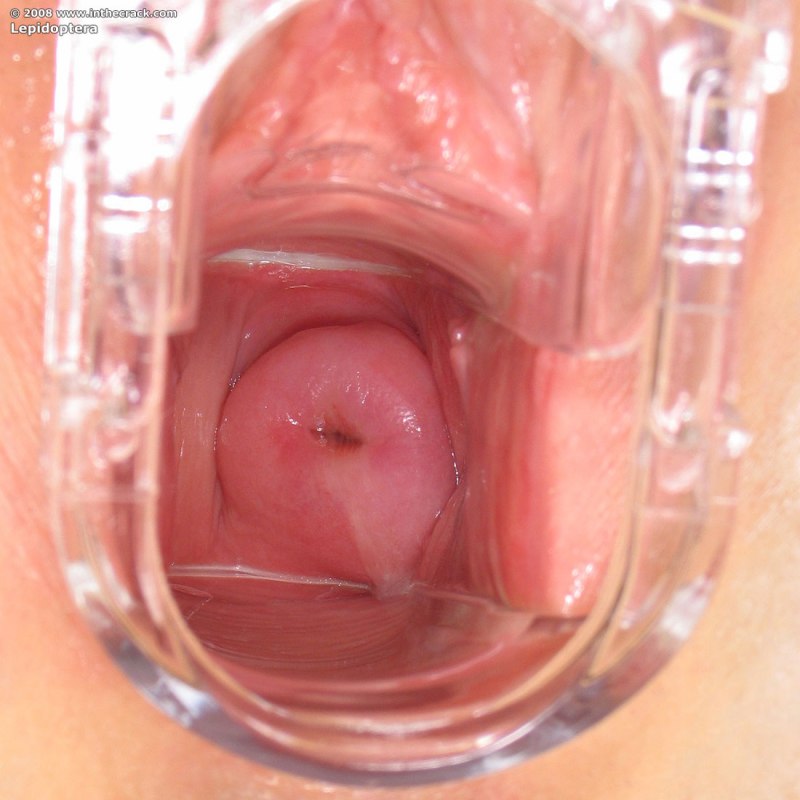 Два огромных члена во влагалище