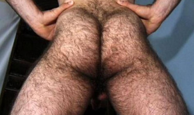 Волосатый член в заднице