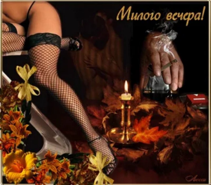 Эротический вечер гифки