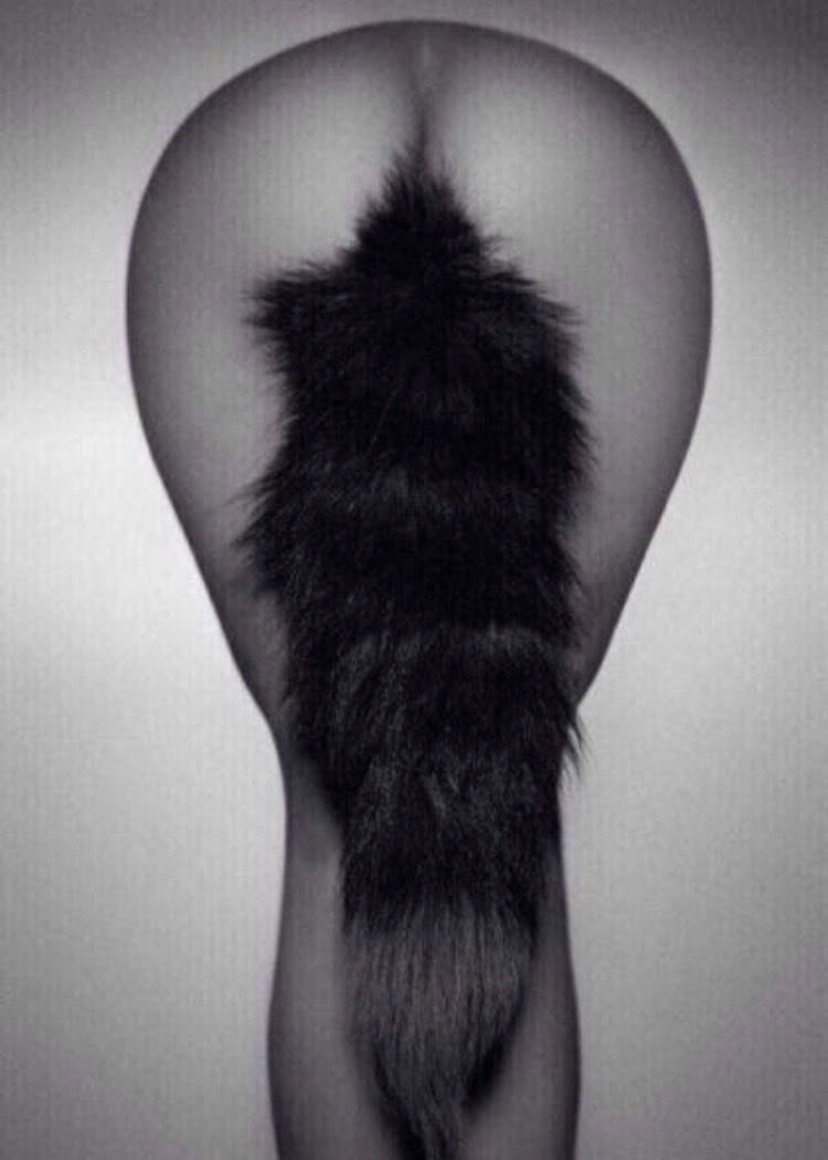 Девушка с анальной пробкой хвостик