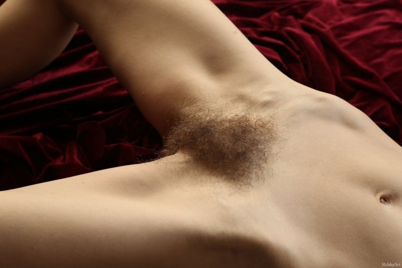 Волосатые киски в трусиках