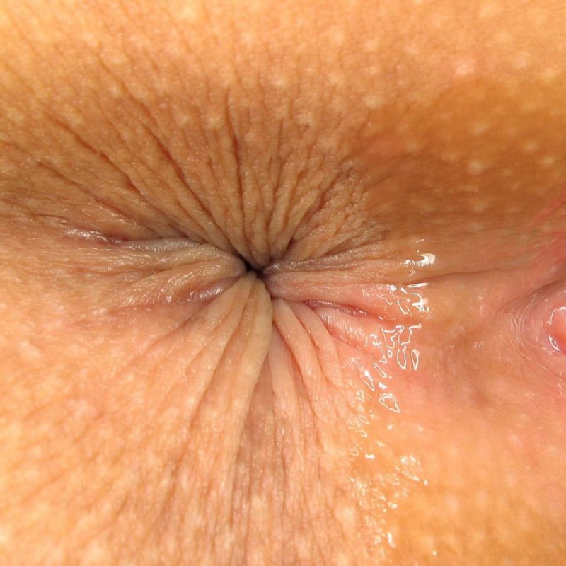 Красивое анальное отверстие