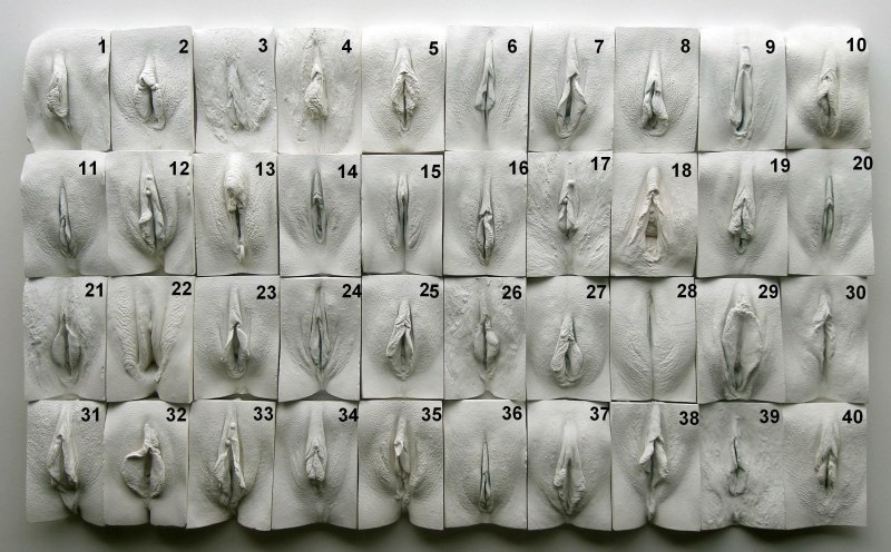 Слепки вагин Джейми Маккартни