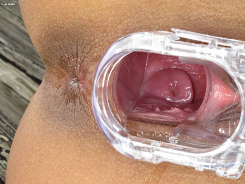 Хентай XRAY оплодотворение urethra