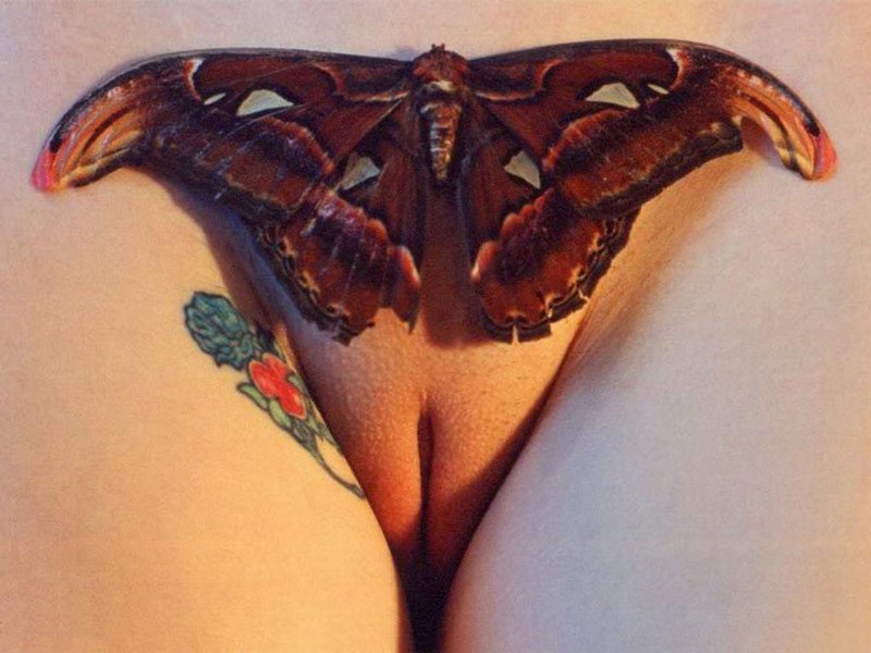 Наколка бабочка на лобке