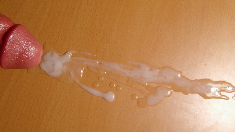 Фотография конча на столе