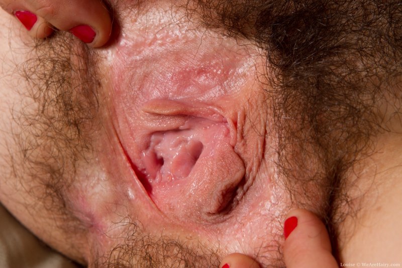 Красивые волосатые женские киски