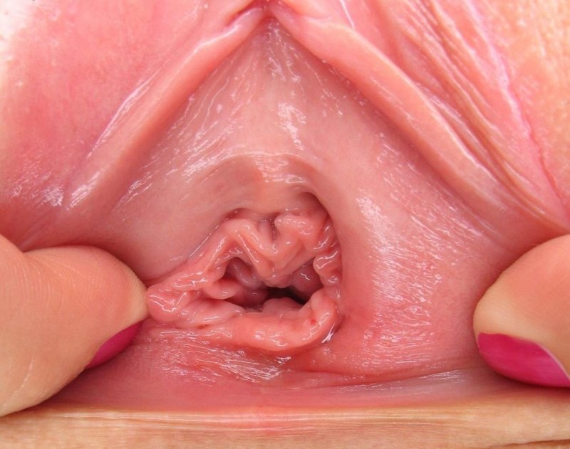 Вагина крупным планом внутри