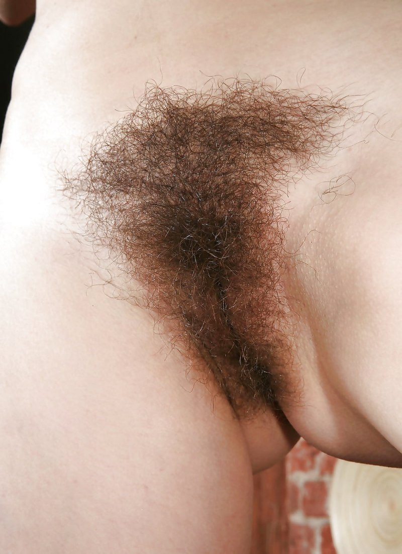 Киска с волосиками на лобке