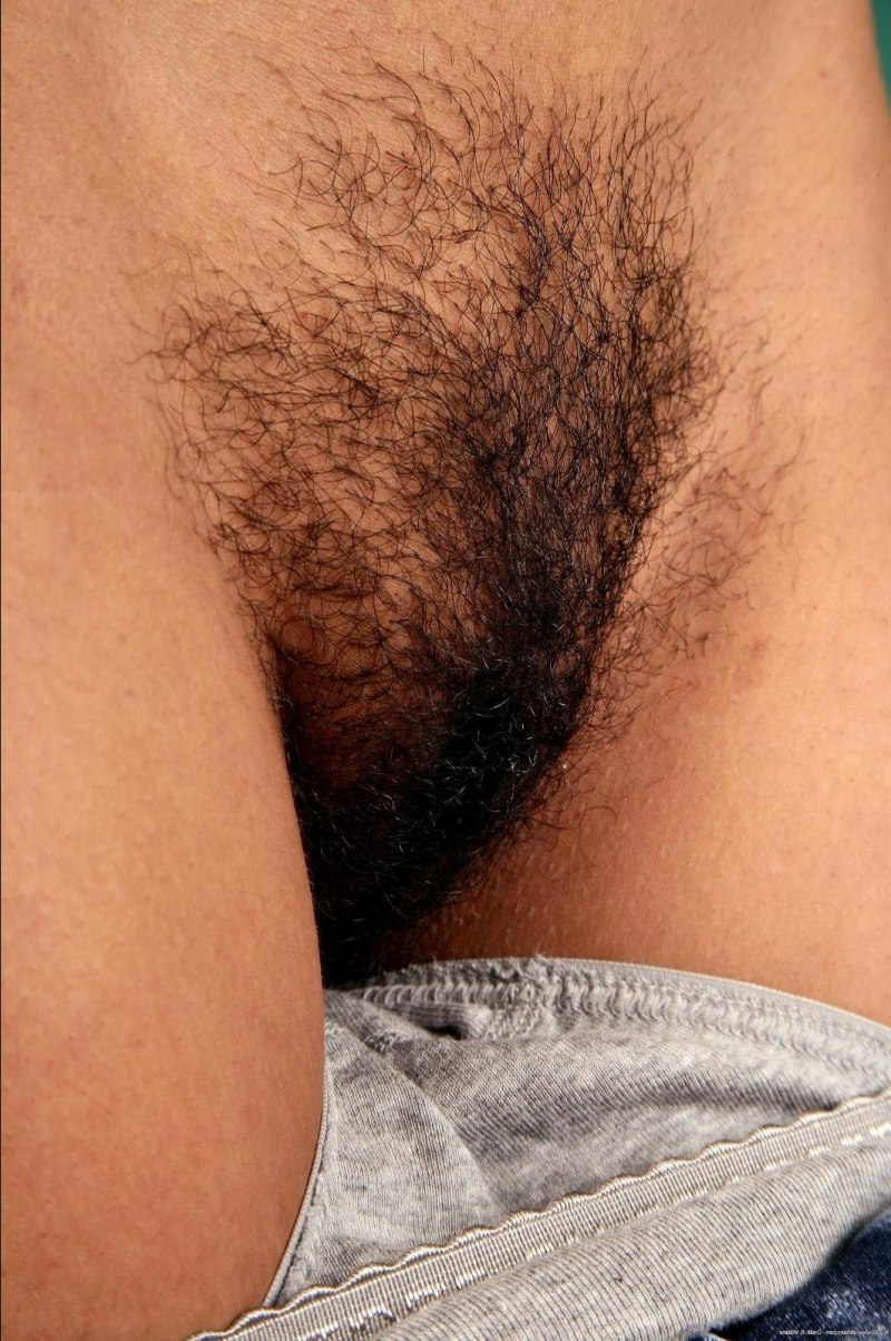 Красивые волосатые писечки