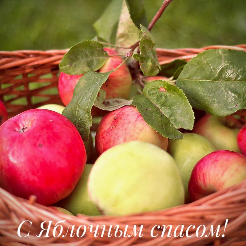 Поздравления с яблочным Спасом красивые