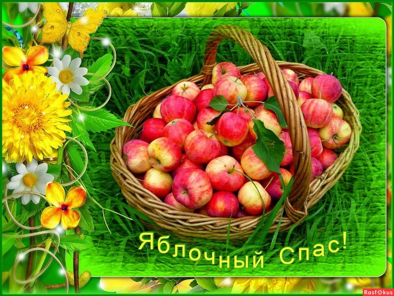19 Августа яблочный спас открытки