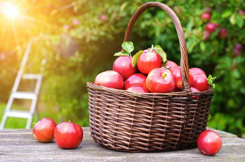 Яблочный спас в 2021