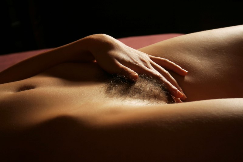 Голые женщины с мохнатым лобком