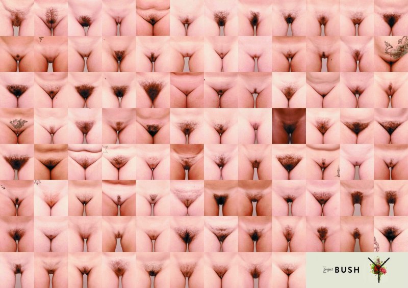 Форма влагалища княгиня