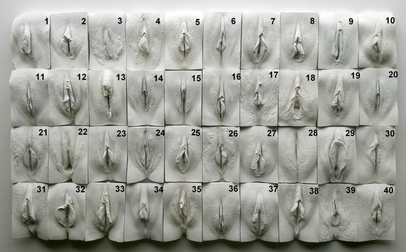 The great Wall of vagina Джейми Маккартни