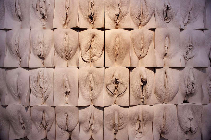 Красивые половые органы