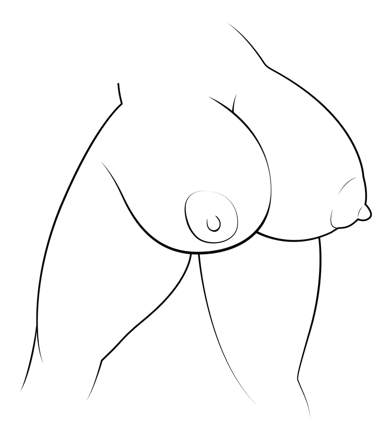 Самые большие сиськи и попки