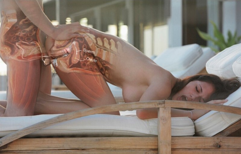 Половой акт иллюстрации