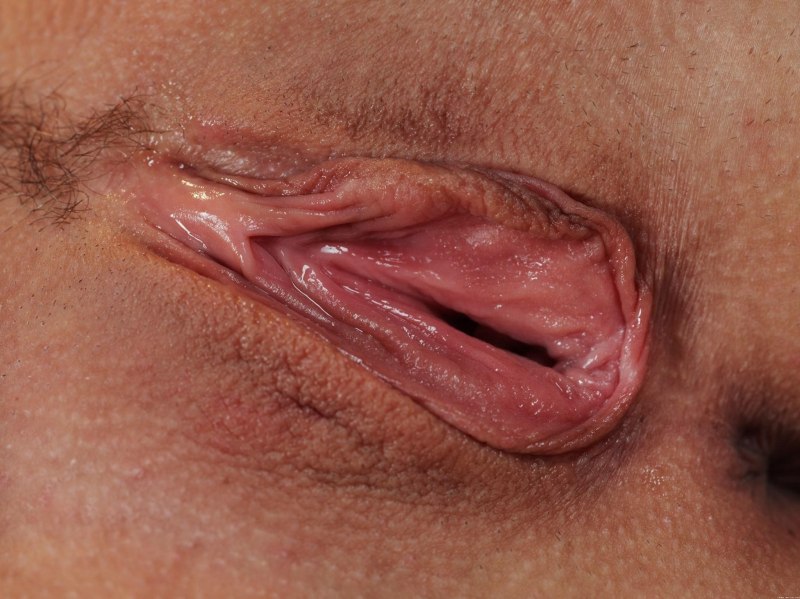 Женские гениталии крупным планом