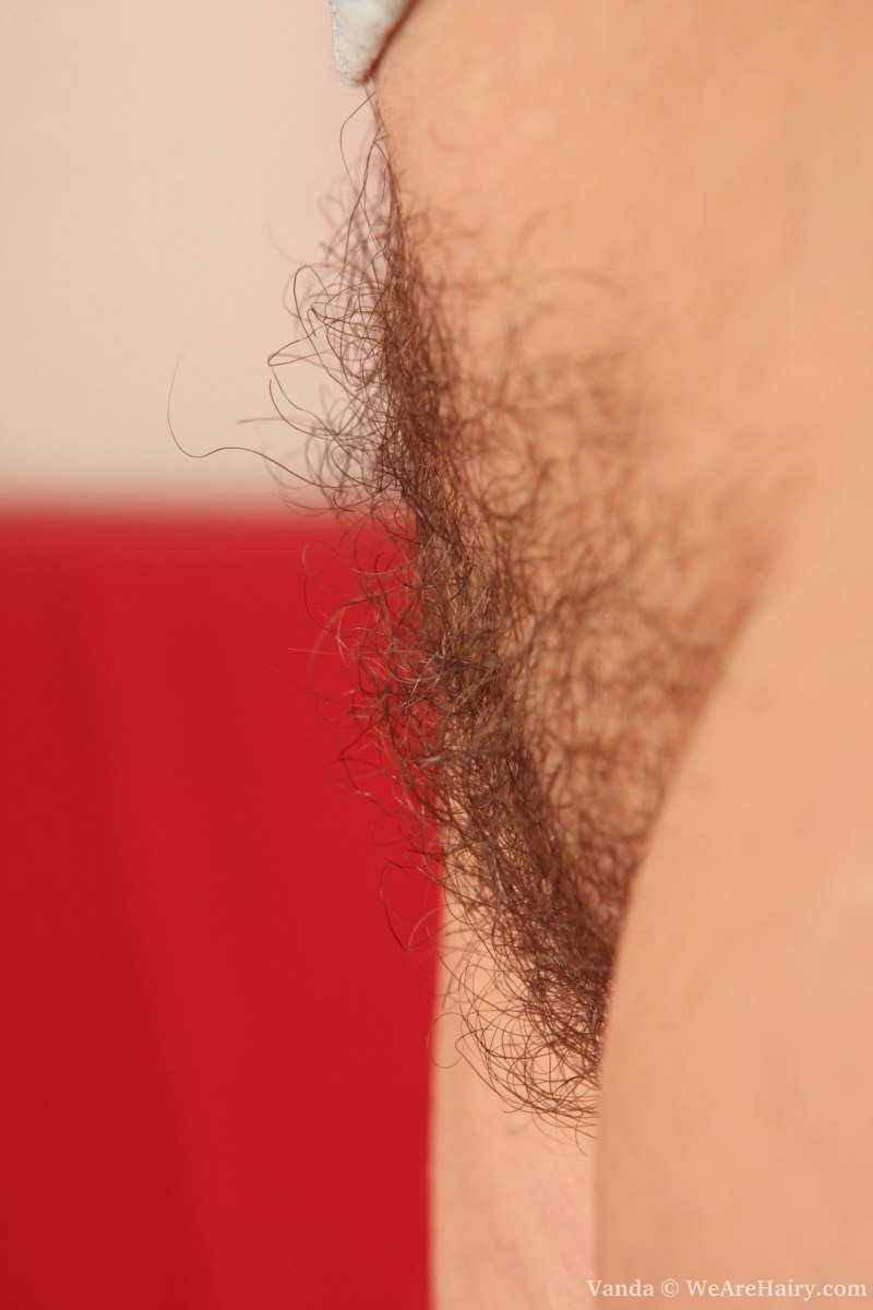 Член в волосатой киске крупно