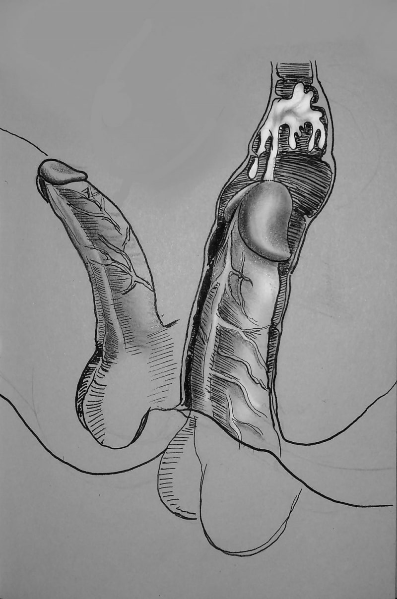 Огромный член внутри влагалища