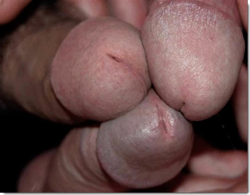 Большой пенис с большой головкой