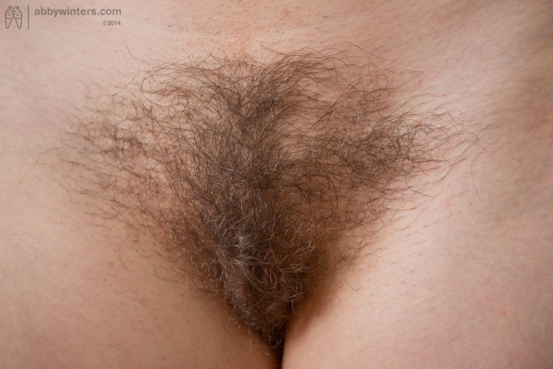 Женские киски с волосиками