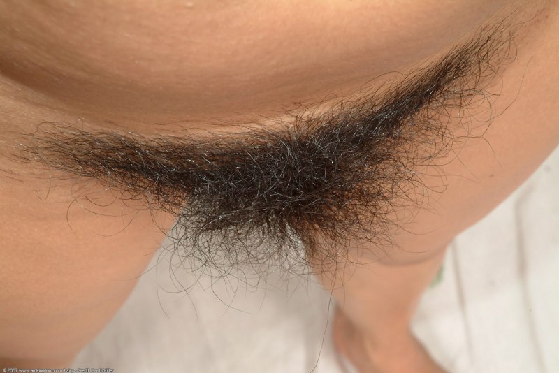 Длинные лобковые волосы