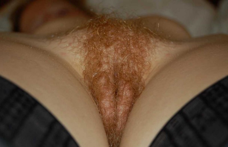 Рыжие волосатые кончают