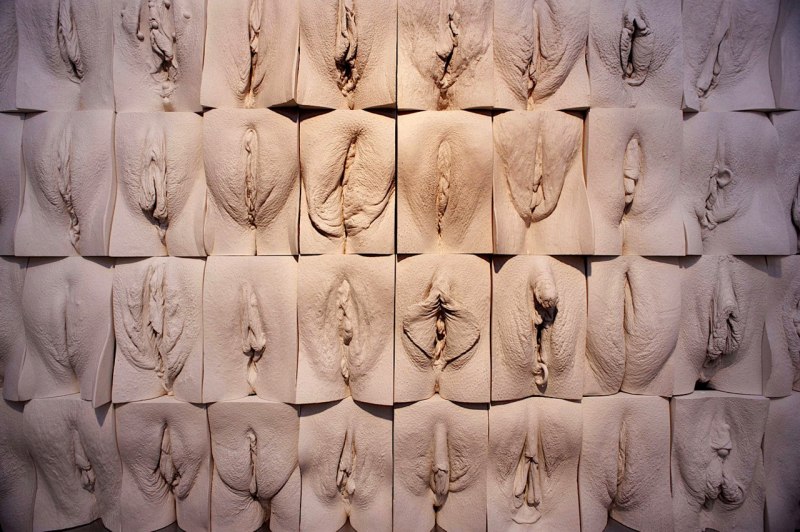 Самая красивая форма вагины